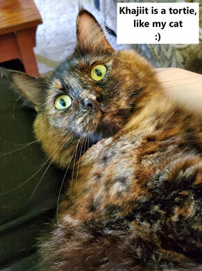 Khajiit is a tortie, like my cat :) Khajiit is a tortie, like my cat :)